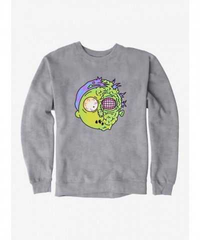 Rick And Morty Fly Transformation Unisex Sweatshirt