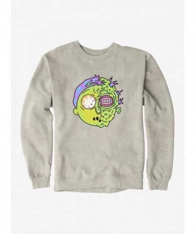 Rick And Morty Fly Transformation Unisex Sweatshirt